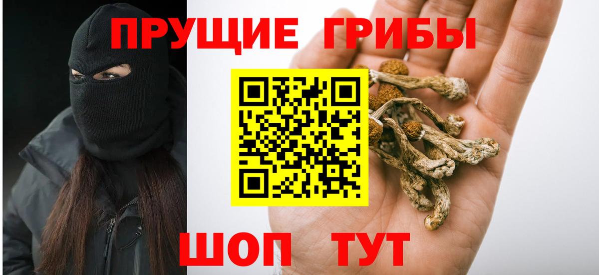 Черногорск  Галлюциногенные грибы мицелий  дарнет шоп  Вход с VPN 